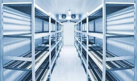 Pharmaceutical-Grade Storage: Temperature Monitoring, Types & Safety Requirements