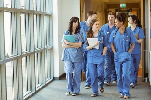 Nursing PhD Guide: Programs, Careers & Opportunities